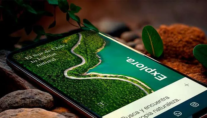 Desarrollo de Sitio web corporativo para Terrestre