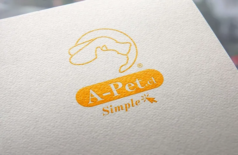 Papelería corporativa de A-Pet: sobres y hojas carta con el logotipo rediseñado